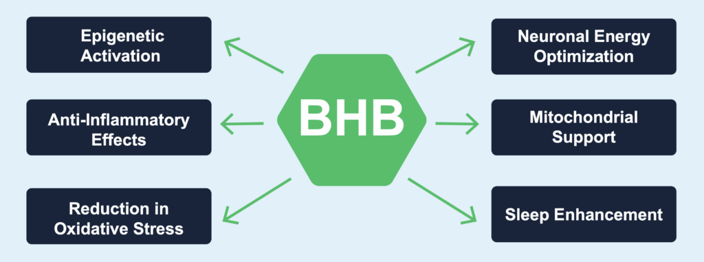 How bhb increases bdnf