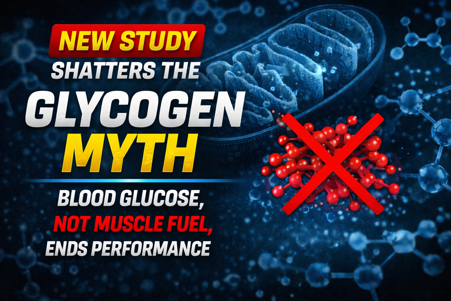 Glycogen myth and blood glucose study